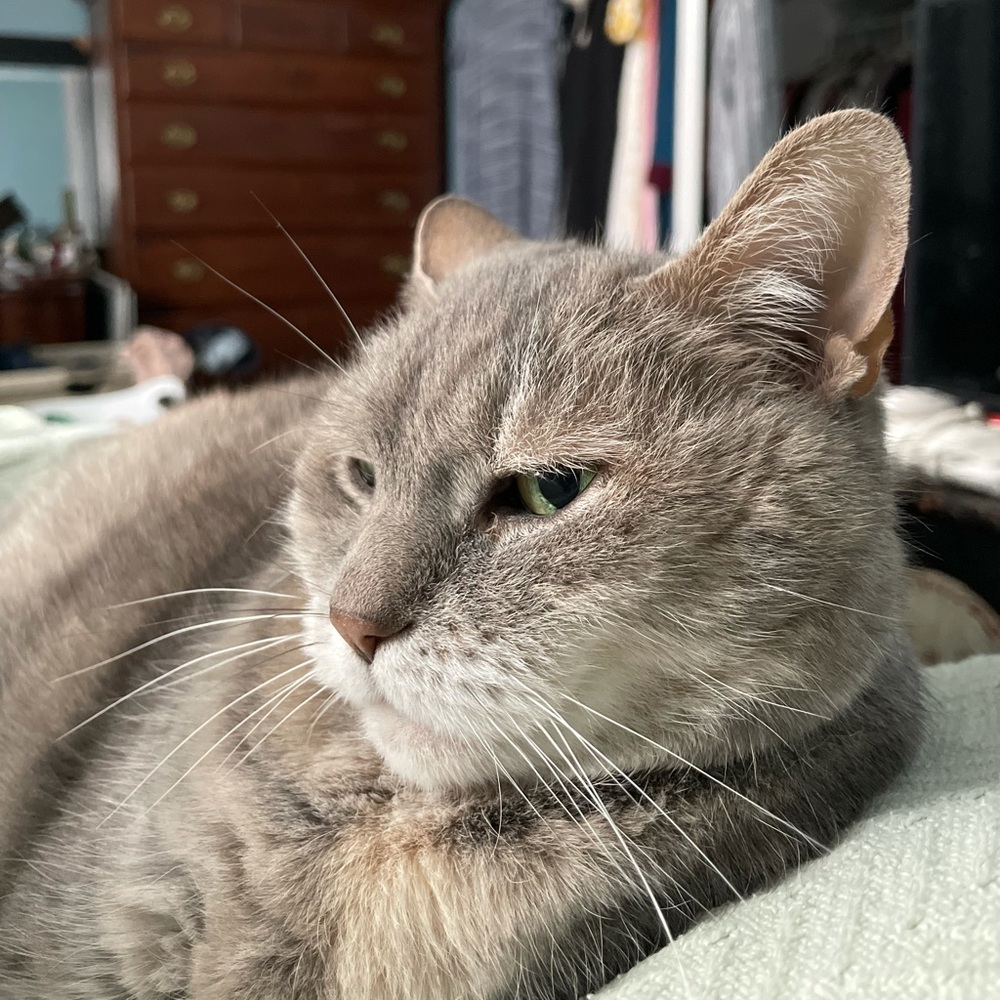 Meet your Posher, Rachel